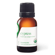 Cypress Essential Oil - 15ml - Essential Oil Singles - Aromatics International