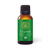 Cypress Essential Oil - 5ml - Essential Oil Singles - Aromatics International