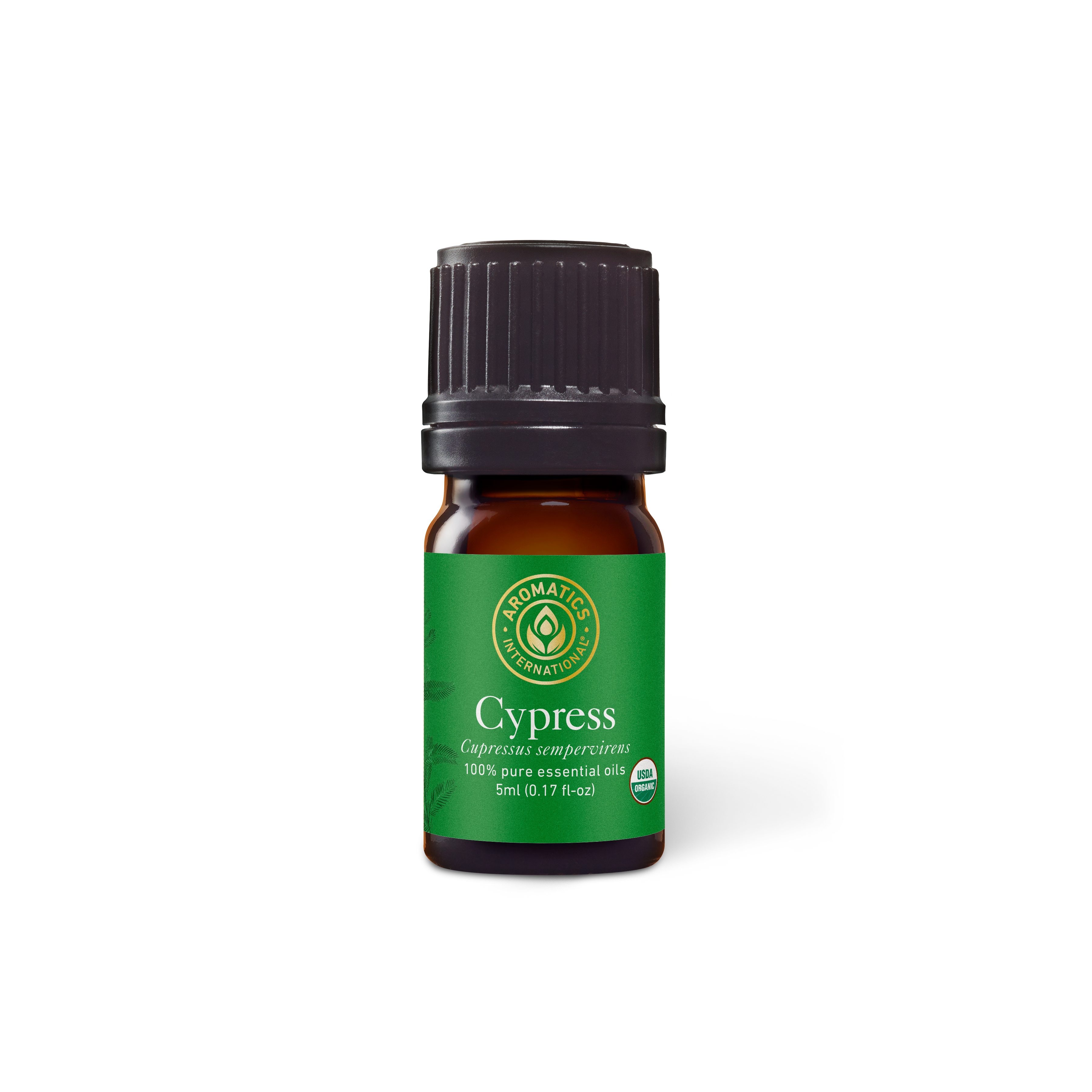 Cypress Essential Oil - 5ml - Essential Oil Singles - Aromatics International