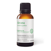 Davana Essential Oil - 30ml - Essential Oil Singles - Aromatics International