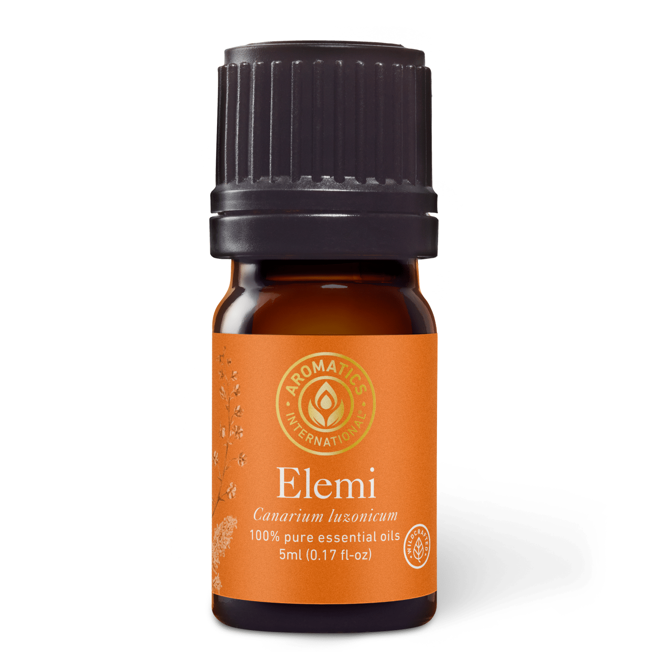 Elemi Essential Oil - 5ml - Essential Oil Singles - Aromatics International