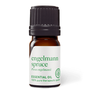 Engelmann Spruce Essential Oil - 5ml - Essential Oil Singles - Aromatics International