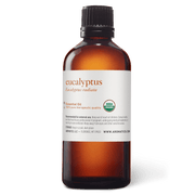 Eucalyptus Radiata Essential Oil - 100ml - Essential Oil Singles - Aromatics International