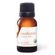Eucalyptus Radiata Essential Oil - 15ml - Essential Oil Singles - Aromatics International
