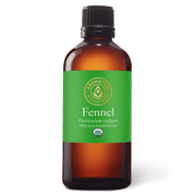 Fennel Sweet Essential Oil - 100ml - Essential Oil Singles - Aromatics International