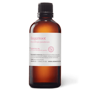 Fingerroot Essential Oil - 100ml - Essential Oil Singles - Aromatics International