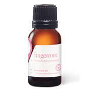 Fingerroot Essential Oil - 15ml - Essential Oil Singles - Aromatics International