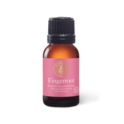 Fingerroot Essential Oil - 15ml - Essential Oil Singles - Aromatics International