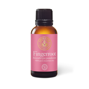 Fingerroot Essential Oil - 30ml - Essential Oil Singles - Aromatics International