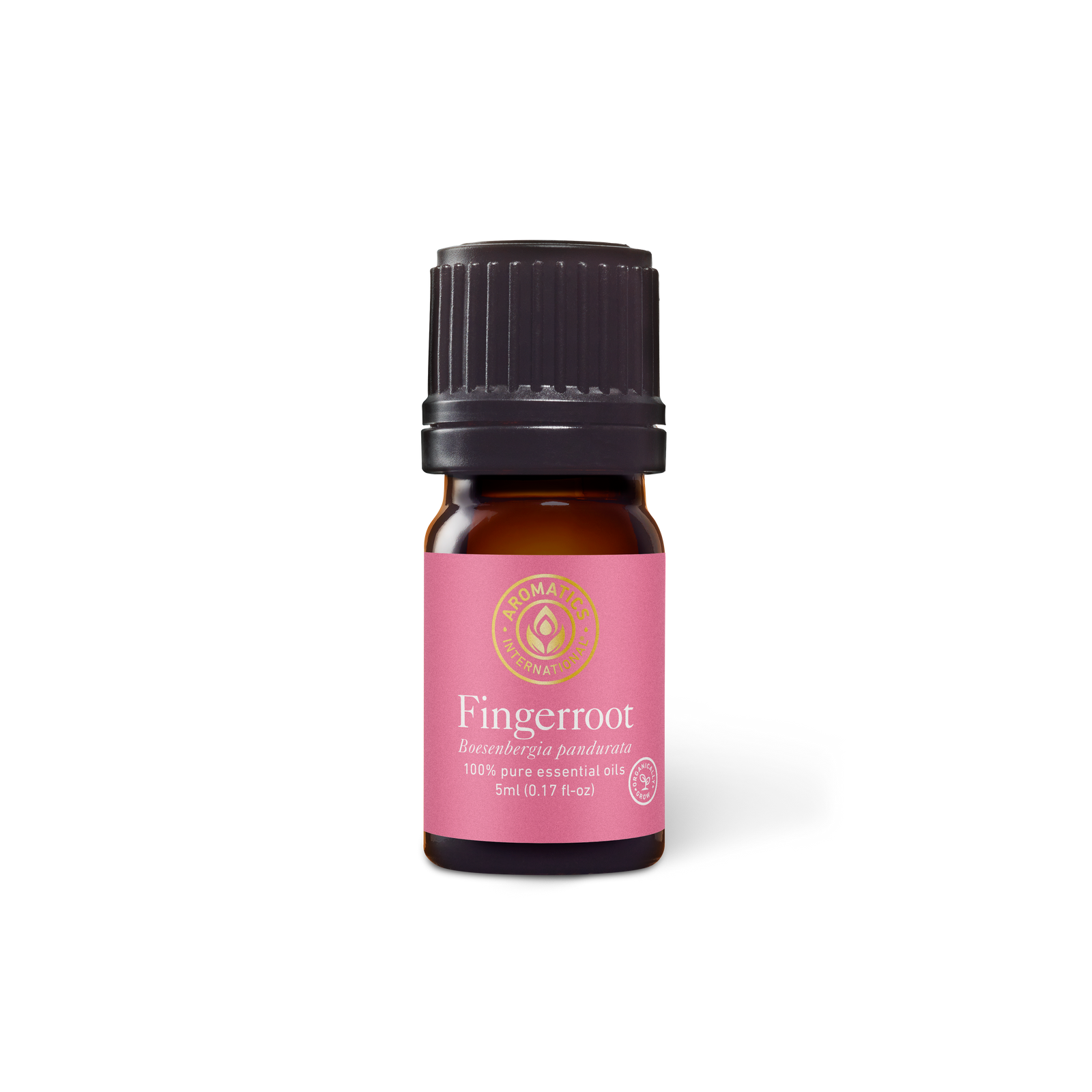 Fingerroot Essential Oil - 5ml - Essential Oil Singles - Aromatics International