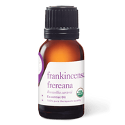 Frankincense Frereana Essential Oil - 15ml - Essential Oil Singles - Aromatics International