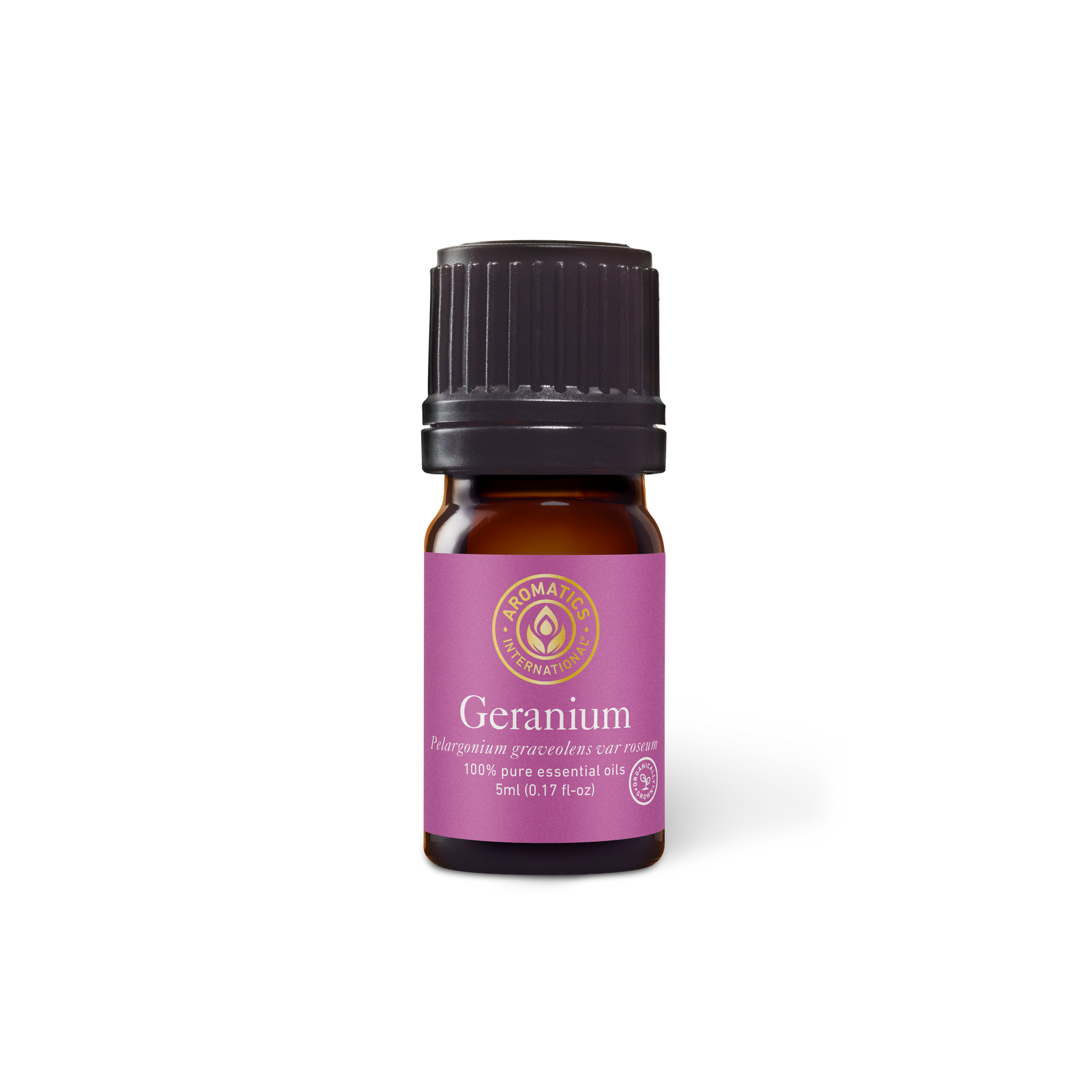 Geranium Essential Oil - 5ml - Essential Oil Singles - Aromatics International