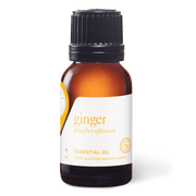 Ginger Essential Oil - 15ml - Essential Oil Singles - Aromatics International