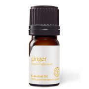 Ginger Essential Oil - 5ml - Essential Oil Singles - Aromatics International