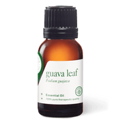 Guava Leaf Essential Oil - 15ml - Essential Oil Singles - Aromatics International