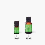 Helichrysum Splendidum Essential Oil - 5ml - Essential Oil Singles - Aromatics International