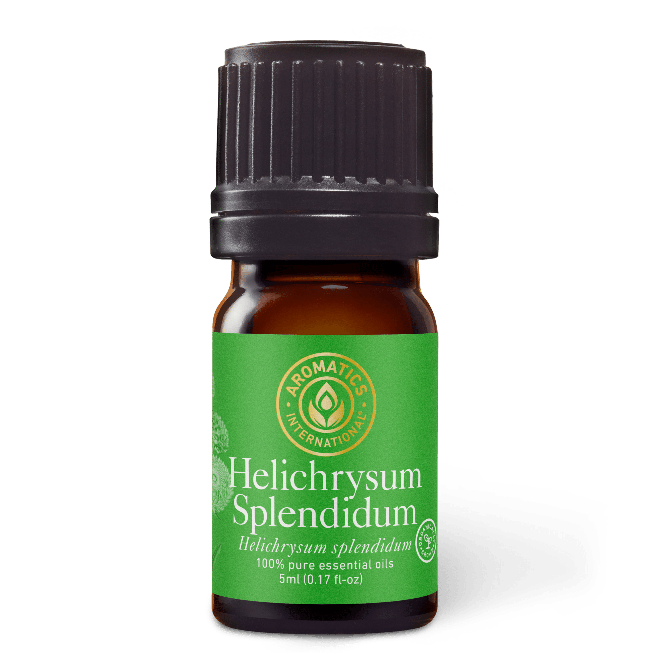 Helichrysum Splendidum Essential Oil - 5ml - Essential Oil Singles - Aromatics International