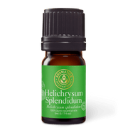 Helichrysum Splendidum Essential Oil - 5ml - Essential Oil Singles - Aromatics International