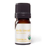 Inula (Sweet) Essential Oil - 5ml - Essential Oil Singles - Aromatics International