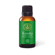 Kanuka Essential Oil - 30ml - Essential Oil Singles - Aromatics International