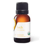 Larch Tamarack Essential Oil - 15ml - Essential Oil Singles - Aromatics International