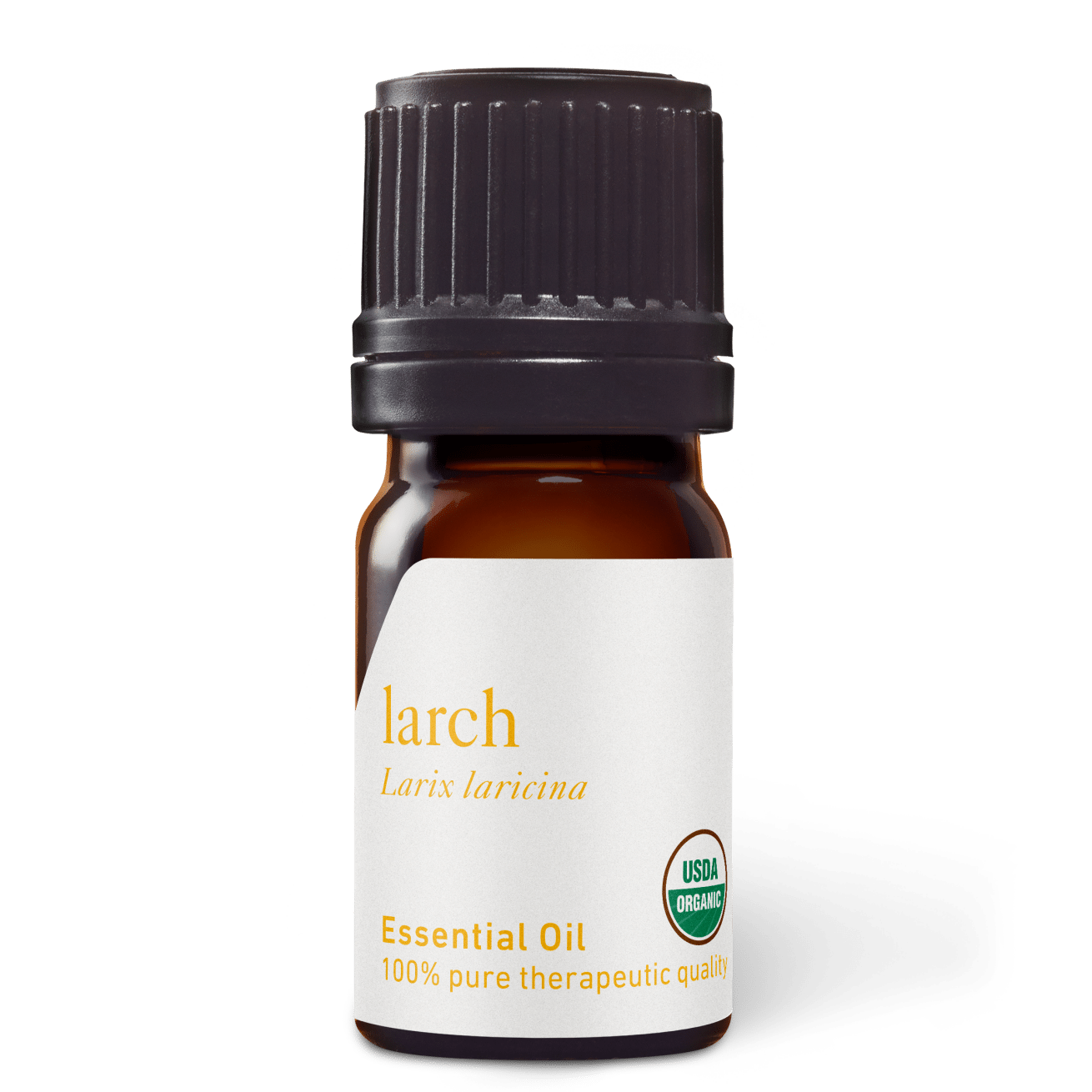 Larch Tamarack Essential Oil - 5ml - Essential Oil Singles - Aromatics International