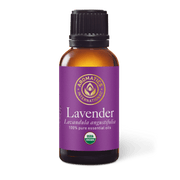 Lavender Essential Oil - 30ml - Essential Oil Singles - Aromatics International