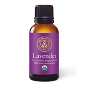 Lavender Essential Oil - 30ml - Essential Oil Singles - Aromatics International