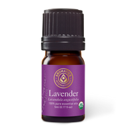 Lavender Essential Oil - 5ml - Essential Oil Singles - Aromatics International