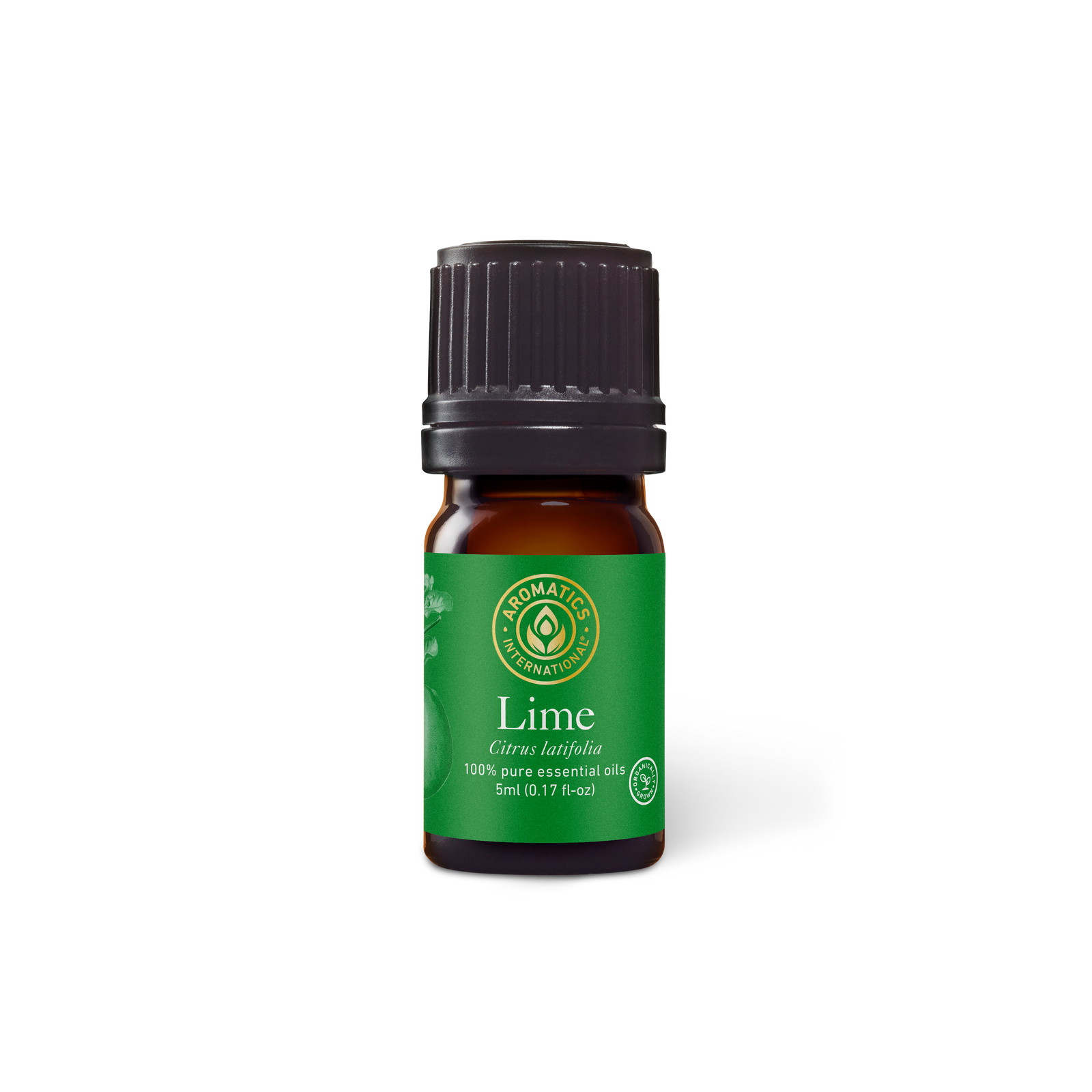 Lime Essential Oil - 5ml - Essential Oil Singles - Aromatics International