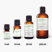 Makrut Lime Peel Essential Oil - 5ml - Essential Oil Singles - Aromatics International