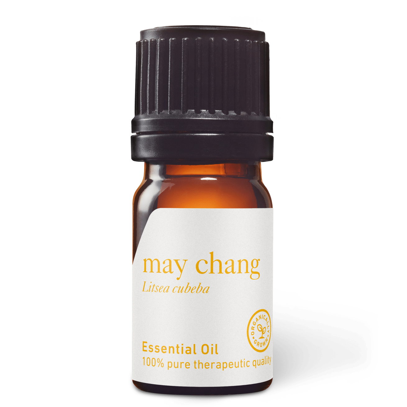 May Chang Essential Oil - 5ml - Essential Oil Singles - Aromatics International