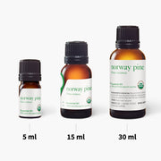 Norway Pine Essential Oil - 5ml - Essential Oil Singles - Aromatics International