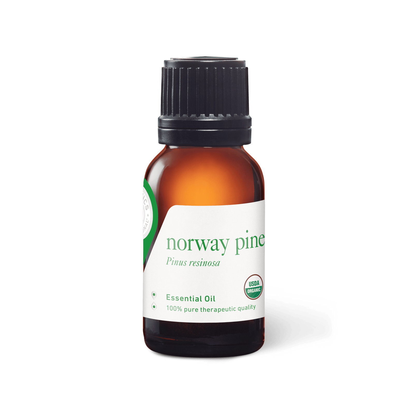 Norway Pine Oil - Expired - 15ml - Expired Oils - Aromatics International