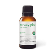 Norway Pine Oil - Expired - 30ml - Expired Oils - Aromatics International