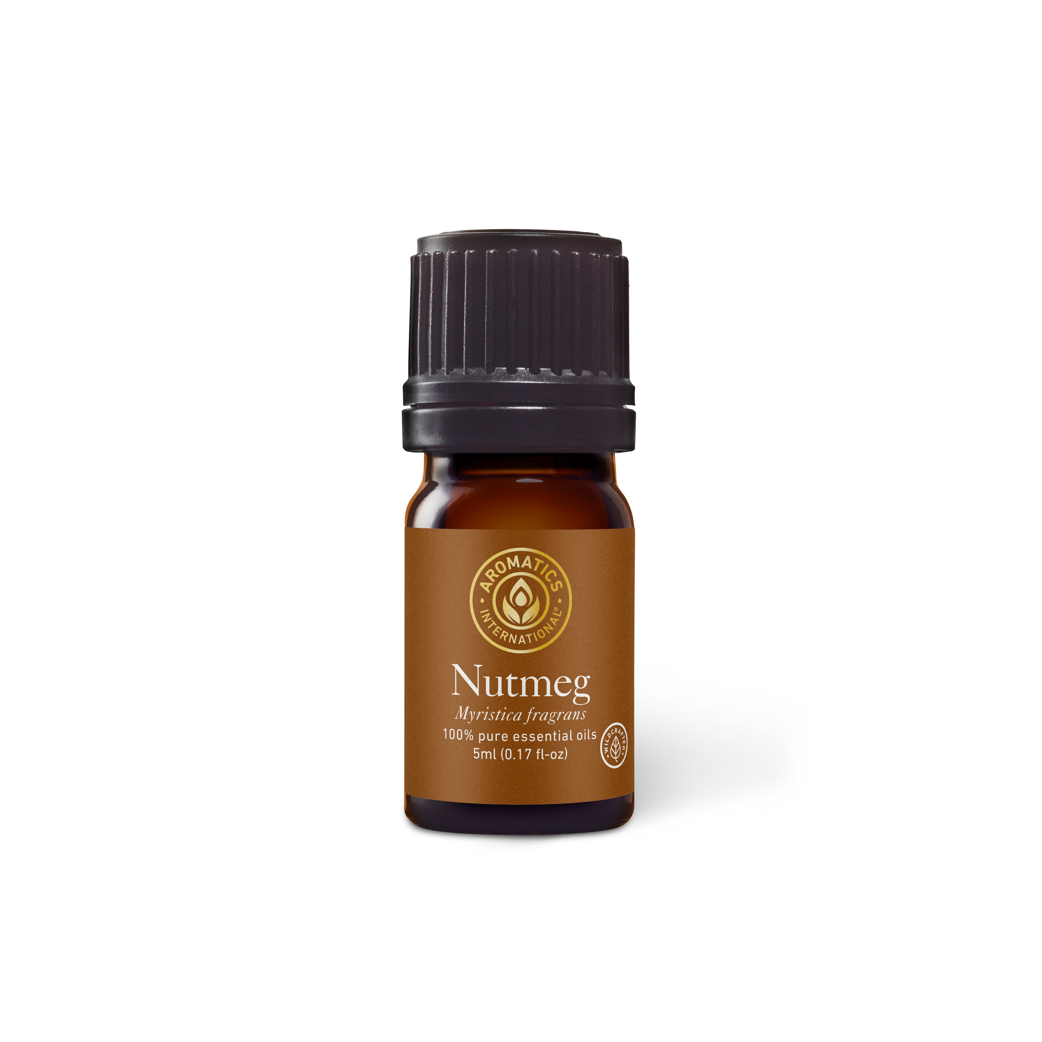 Nutmeg Essential Oil - 5ml - Essential Oil Singles - Aromatics International