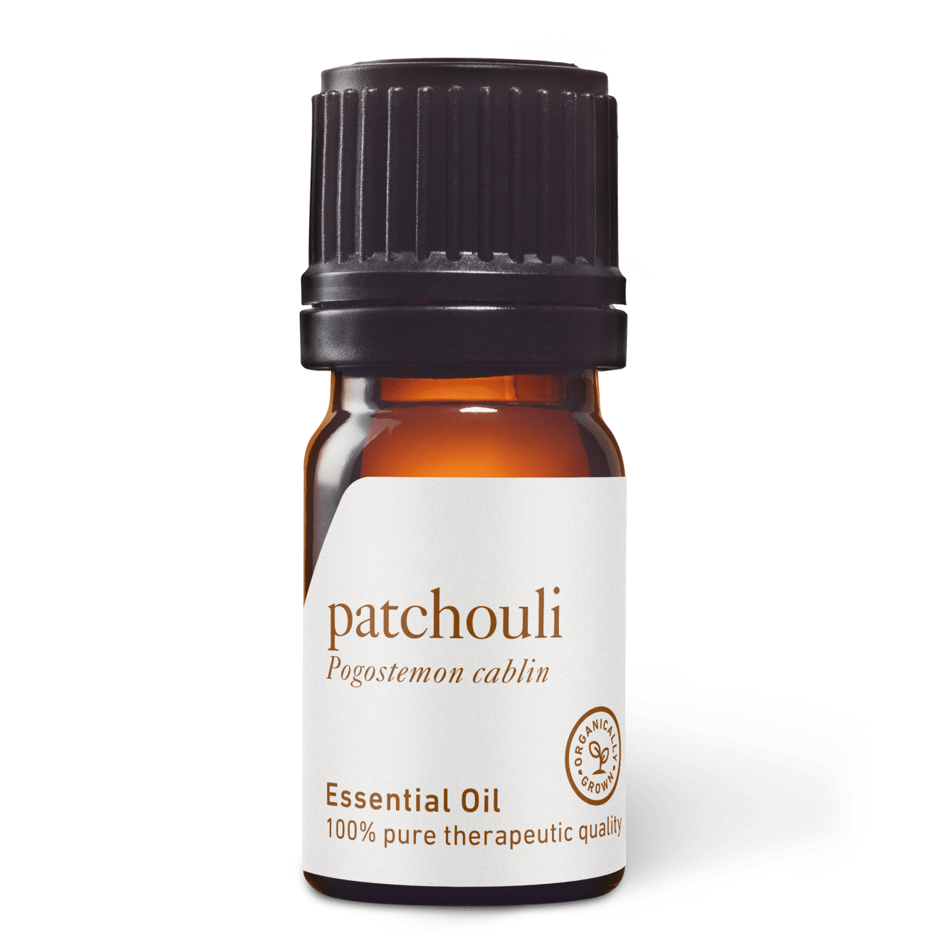 Patchouli Essential Oil - 5ml - Essential Oil Singles - Aromatics International