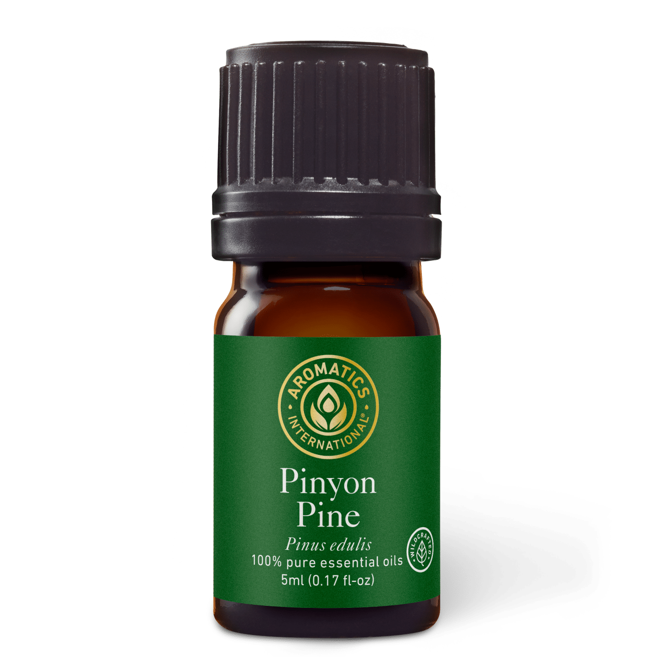 Pinyon Pine Essential Oil - 5ml - Essential Oil Singles - Aromatics International