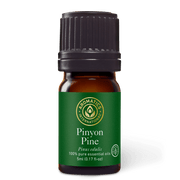 Pinyon Pine Essential Oil - 5ml - Essential Oil Singles - Aromatics International