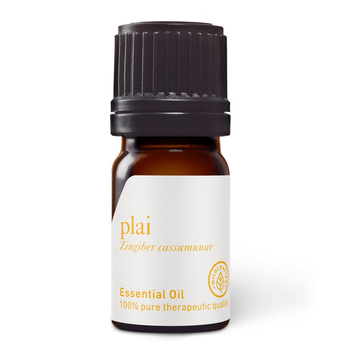 Plai (Central) Essential Oil - 5ml - Essential Oil Singles - Aromatics International