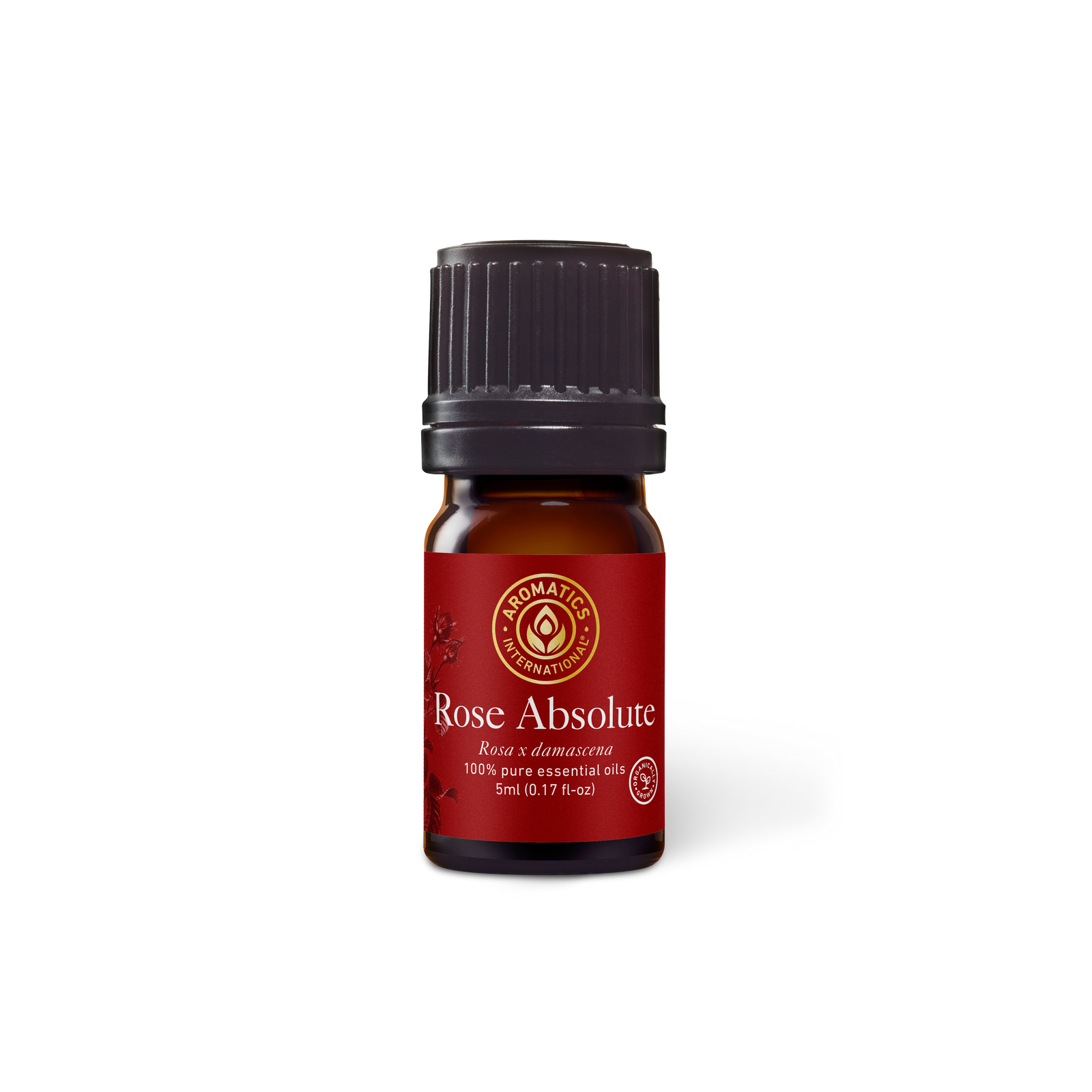 Rose Absolute Essential Oil - 5ml - Essential Oil Singles - Aromatics International