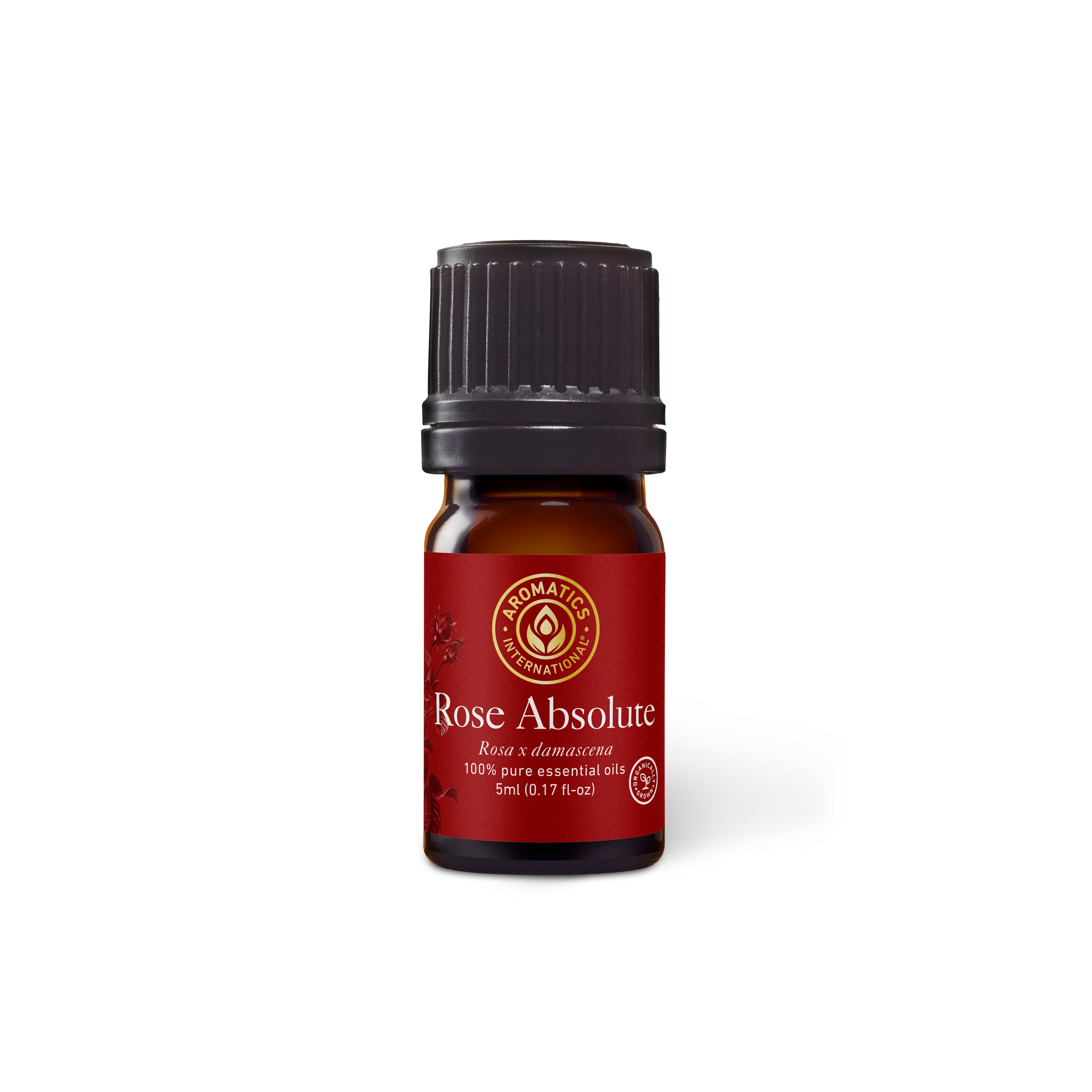 Rose Absolute Essential Oil - 5ml - Essential Oil Singles - Aromatics International