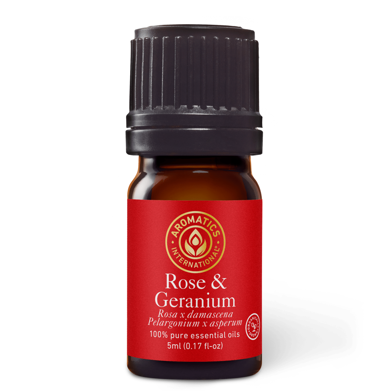 Rose and Geranium Essential Oil - 5ml - Essential Oil Singles - Aromatics International