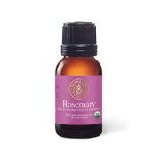 Rosemary ct Camphor Essential Oil - 15ml - Essential Oil Singles - Aromatics International