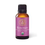 Rosemary ct Camphor Essential Oil - 30ml - Essential Oil Singles - Aromatics International