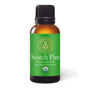 Scotch Pine Essential Oil - 30ml - Essential Oil Singles - Aromatics International