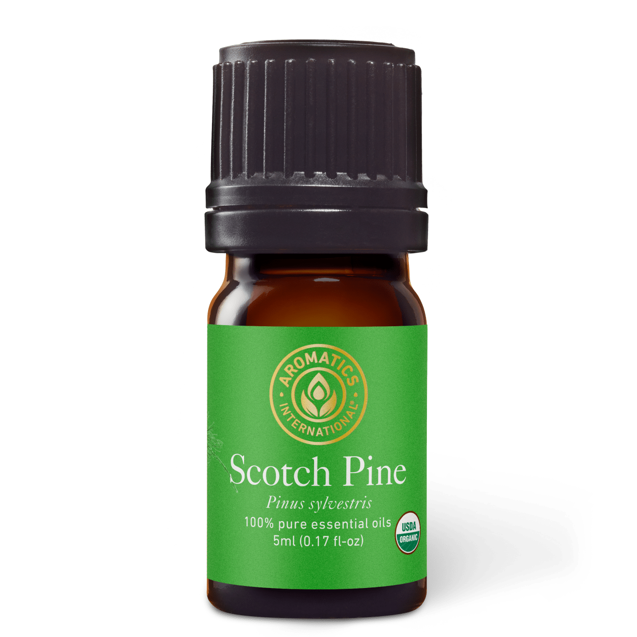 Scotch Pine Essential Oil - 5ml - Essential Oil Singles - Aromatics International
