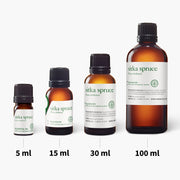 Sitka Spruce Essential Oil - 5ml - Essential Oil Singles - Aromatics International