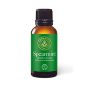 Spearmint Essential Oil - 30ml - Essential Oil Singles - Aromatics International