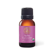 Spike Lavender Essential Oil - 15ml - Essential Oil Singles - Aromatics International